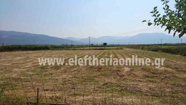 Μεσσήνη: "Φρένο" για κέντρο φιλοξενίας προσφύγων στη Μακαρία