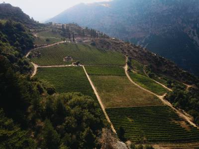 Προετοιμαζόμαστε για το Πασχαλινό Τραπέζι και σας προτείνουμε