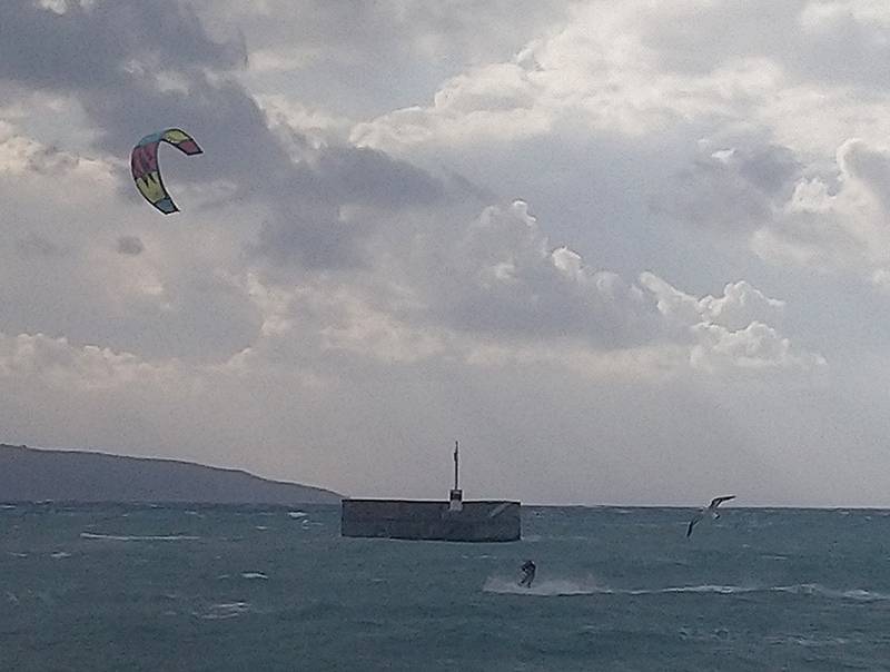 Καλαμάτα: Σερφάροντας πάνω στα κύματα δίπλα σε ένα γλάρο (φωτογραφίες)