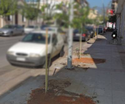 Νέα δέντρα σε Ακρίτα και Φιλελλήνων