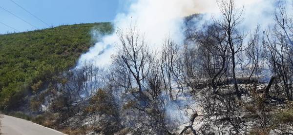 Αρκαδία: Υπό μερικό έλεγχο τέθηκε η πυρκαγιά στη Φαλαισία Μεγαλόπολης (βίντεο)