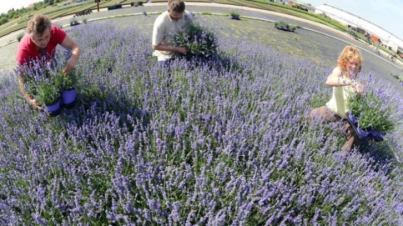 ΤΕΕ: Πράσινα υλικά και πράσινα επαγγέλματα οδηγούν σε πιο φιλικές στο περιβάλλον κατασκευές και κτίρια