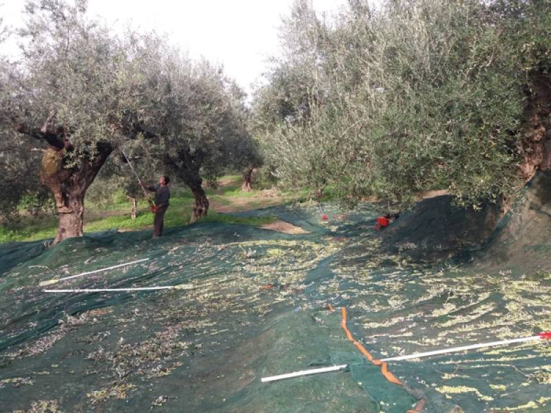 Ερώτηση Χαρίτση για κατασχέσεις επιδοτήσεων