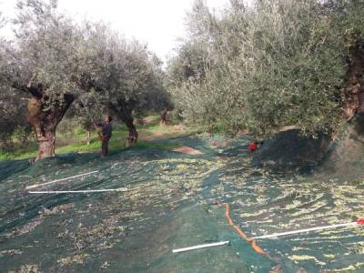 Ερώτηση Χαρίτση για κατασχέσεις επιδοτήσεων