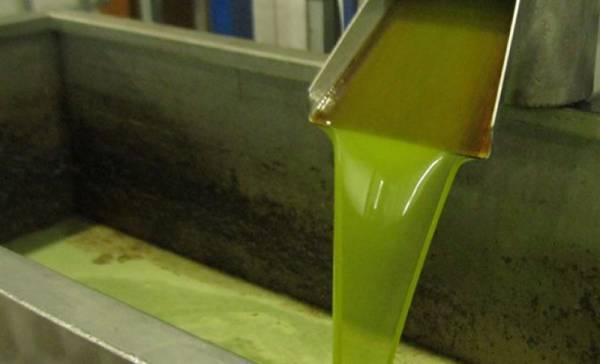 4,40 ευρώ η πρώτη τιμή για αγουρέλαιο