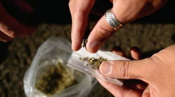 Είχε χασίς στο ελαιοτριβείο του στους Γαργαλιάνους