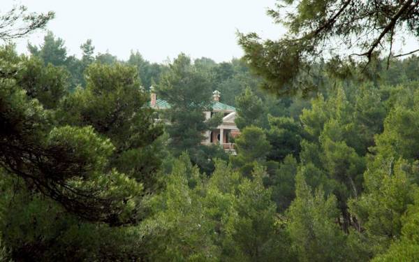 Στα δικαστήρια ο Τατούλης για τους δασικούς χάρτες