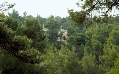 Στα δικαστήρια ο Τατούλης για τους δασικούς χάρτες 