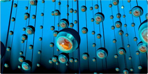 KM3Net: Προχωράει το μεγάλο επιστημονικό εγχείρημα με τα νετρίνα στο βυθό της Πύλου