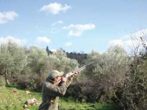 Λιγότερες άδειες κυνηγιού από πέρυσι στην Καλαμάτα
