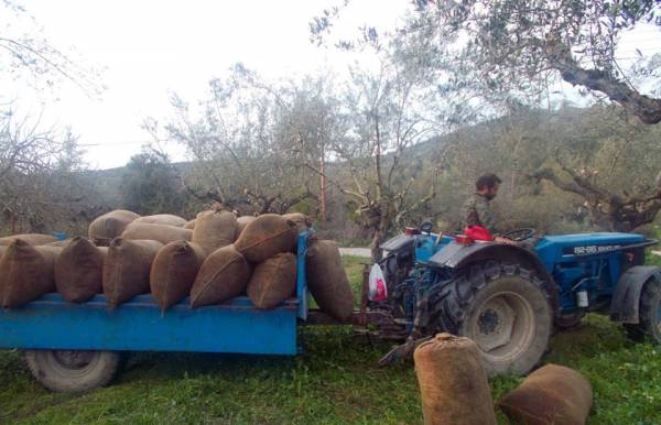 Την προσοχή στους οδηγούς εφιστά ο Εμπορικός Σύλλογος Κυπαρισσίας