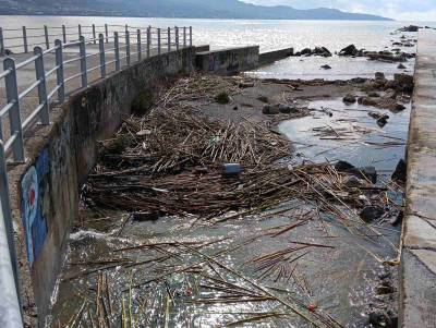 Καλάμια και φερτά υλικά στην ακτή