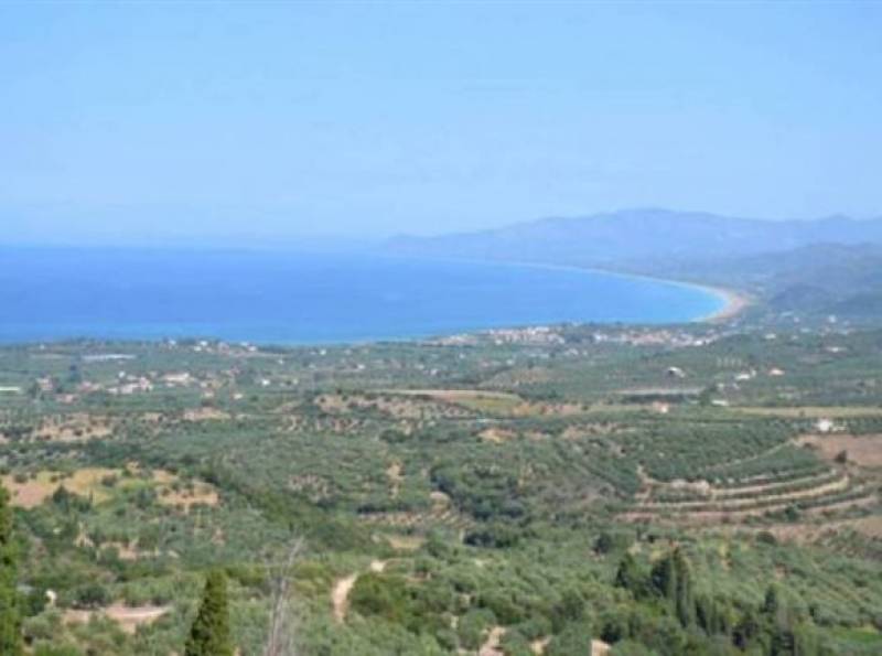 Στην τελική ευθεία οι υποψηφιότητες Δριμή και Τσίγγανου στην Τριφυλία