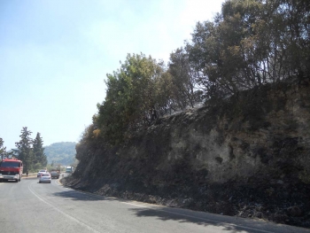 Υποψίες για εμπρησμό σε Τζάνε και Ριζόμυλο