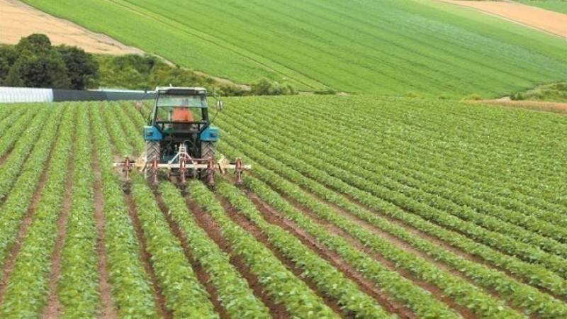 Εως 42.500 ευρώ η επιδότηση νέων αγροτών με το πρόγραμμα «Εγκατάσταση Γεωργών Νεαρής Ηλικίας»