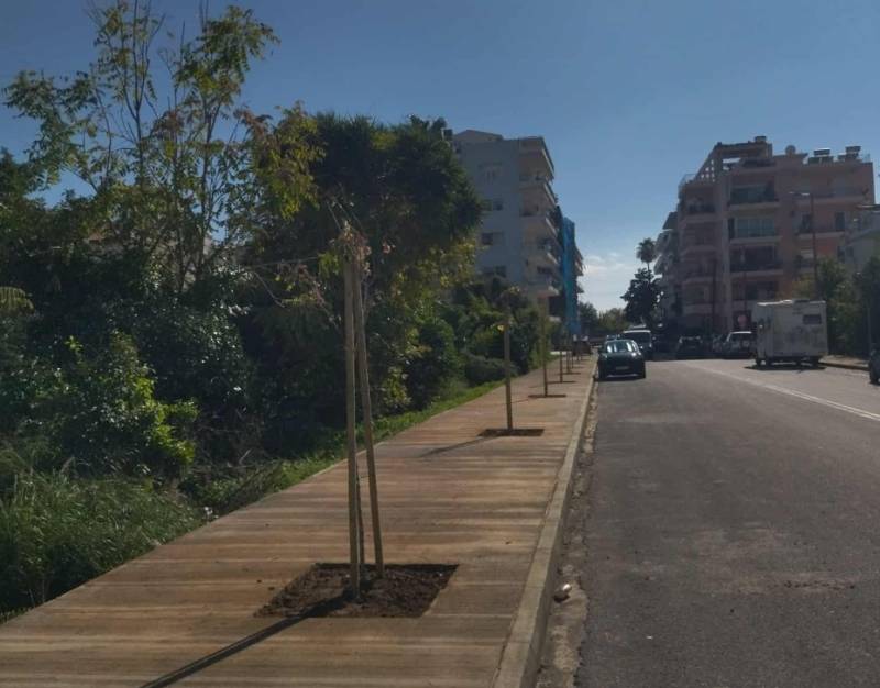 Καλαμάτα: Φύτευση δέντρων στην Βουλγαροκτόνου - Προμήθεια και φύτευση ακόμα 300 δέντρων σε κοινόχρηστους χώρους