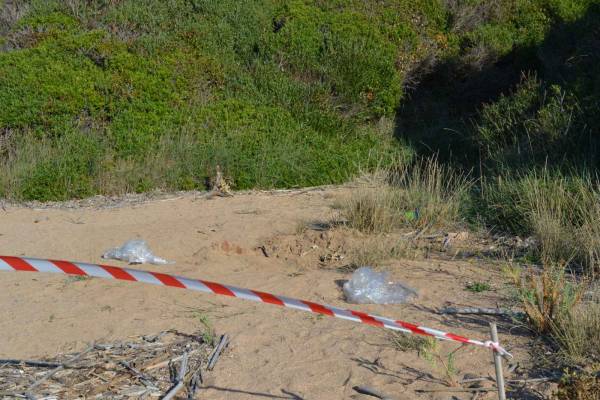 Μεσσηνία: Στα ίχνη του δολοφόνου του 31χρονου Αλβανού στον Καρτελά Κυπαρισσίας