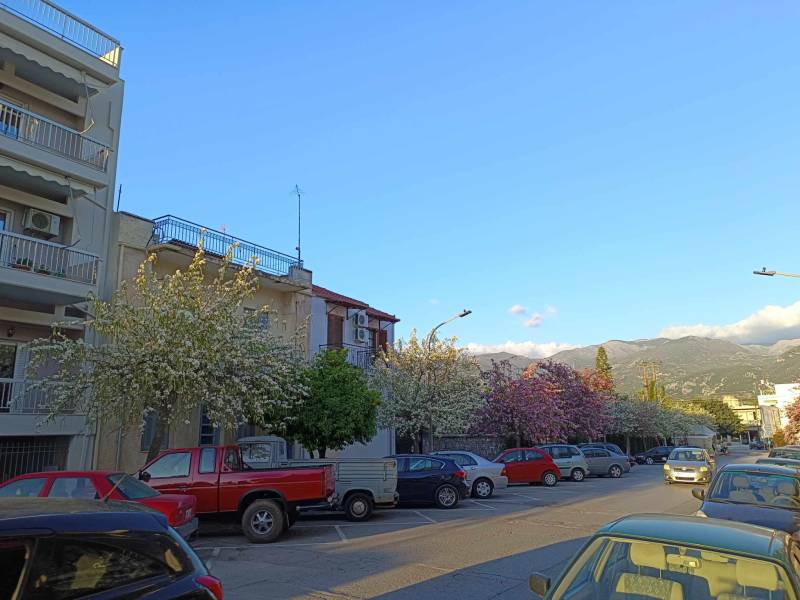 Ανοιξιάτικο σκηνικό...