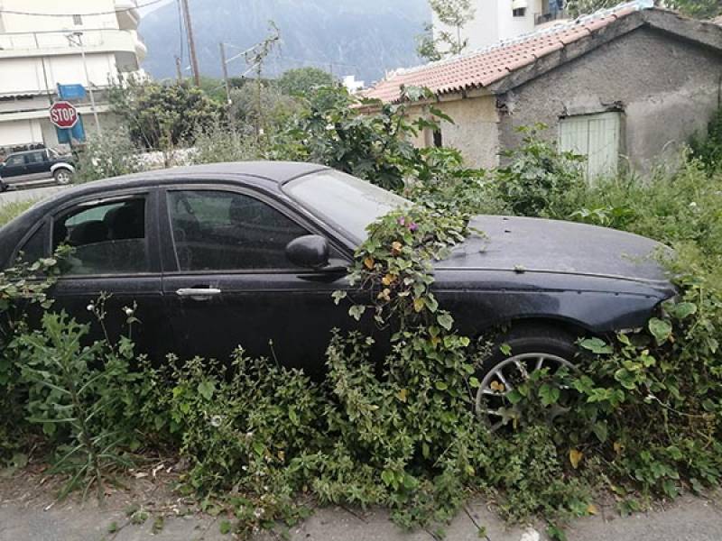 Αμάξι… γλάστρα