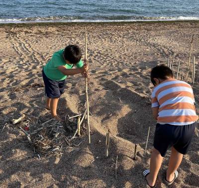 Φωλιές από χελώνες καρέτα – καρέτα ανάμεσα σε Μπούκα και Πάμισο