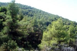 Ενταξη έργων στο "Αλ. Μπαλτατζής"