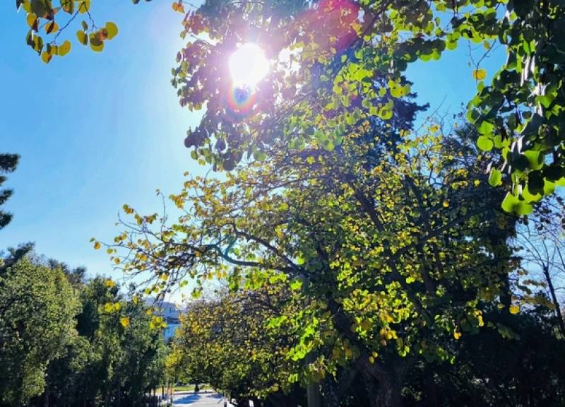 Καιρός: Συνεχίζεται η... άνοιξη, ενισχύονται οι βοριάδες (Βίντεο)