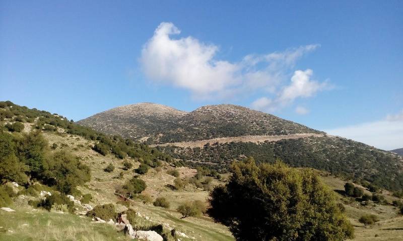 Ο Ορειβατικός στην Ανω Μεσσηνία