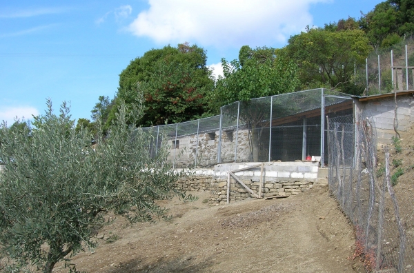 Οι ζωοκλέφτες ρημάζουν  τα μαντριά και τα κοτέτσια 