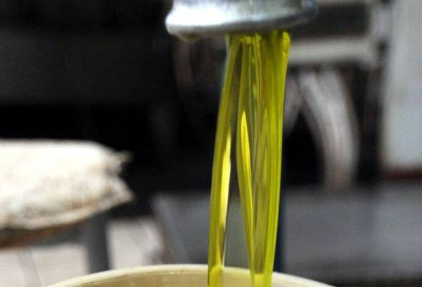 Αυξάνονται οι ελληνικές εξαγωγές ελαιολάδου προς την Ρουμανία