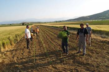 Μπλόκο επιδοτήσεων αγροτών με χρέη σε ΟΓΑ