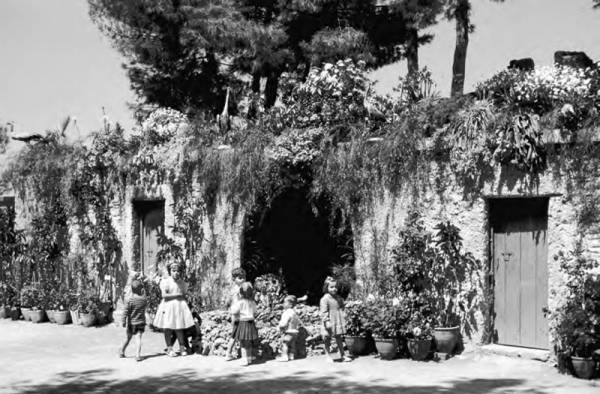 Ανθεστήρια τη δεκαετία του 1960