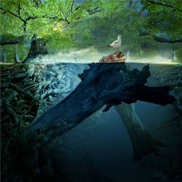 Χορευτές ξεσήκωσαν το Πάρκο Σιδηροδρόμων