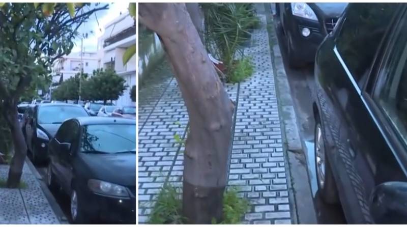 Ελευσίνα: Πάτησε κατά λάθος το γκάζι και εγκλώβισε τη 72χρονη μητέρα της σε δέντρο (βίντεο)