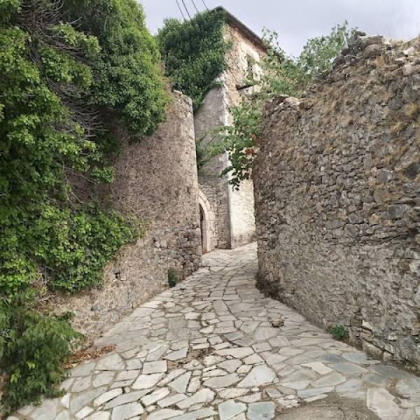 Ριζοσπαστικές λύσεις για  τα χωριά της Αλαγονίας