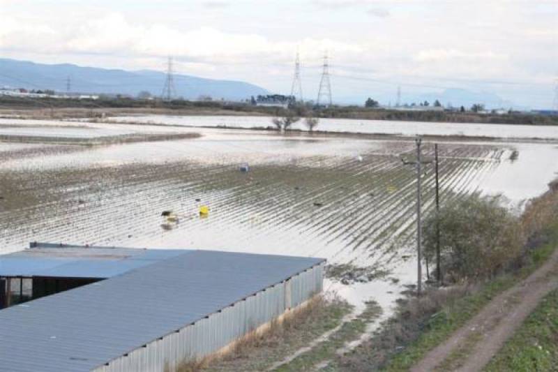 Αποζημιώσεις για ζημιές από καύσωνα σε καλλιέργειες στον Δήμο Μεσσήνης