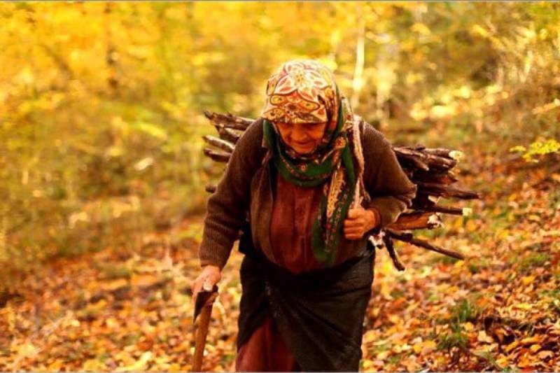 Από την Καλαμάτα ξεκινά το &quot;EcoFrames Environmental Film Festival&quot;