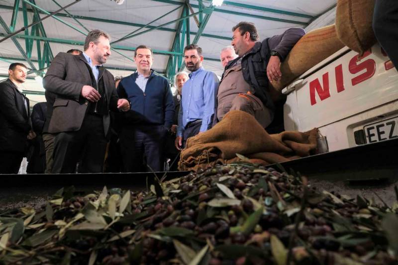 Τσίπρας: "Η κυβέρνηση να δώσει άμεσα λύση στο πρόβλημα της χαμηλής τιμής του ελαιόλαδου"