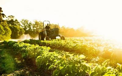 Σεμινάριο για τα αγροτικά προϊόντα στην Καλαμάτα από την Τράπεζα Πειραιώς