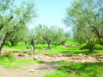 Εγκρίθηκε η παραλλαγή παράκαμψης του Πεταλιδίου