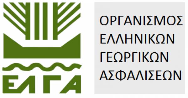 Ανταποκρίτρια του ΕΛΓΑ η Αννα Καραβεντούζη