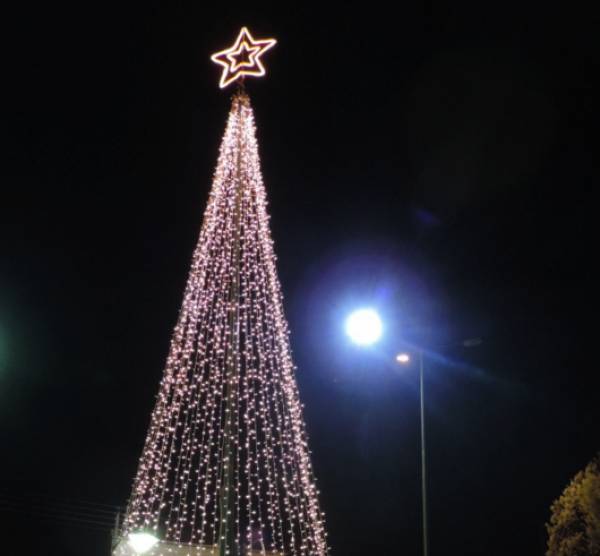 "Ελαμψαν" τα δέντρα σε Θουρία και Πλατύ