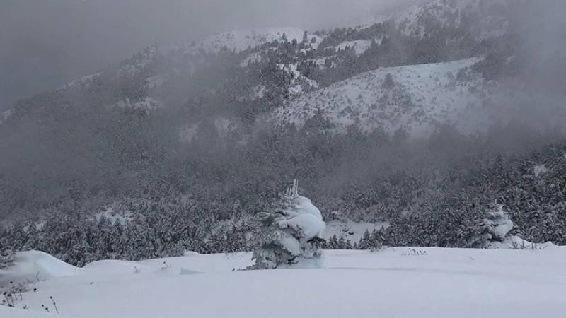 Ανεμοστρόβιλος στο Καλπάκι Ιωαννίνων κατέστρεψε μεγάλη πτηνοτροφική μονάδα - Χιονοπτώσεις στα ορεινά