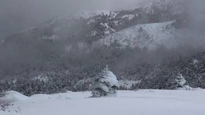 Ανεμοστρόβιλος στο Καλπάκι Ιωαννίνων κατέστρεψε μεγάλη πτηνοτροφική μονάδα - Χιονοπτώσεις στα ορεινά