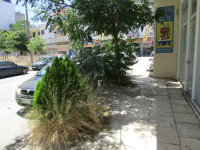 Χορτάριασε η Ρουμελιώτη