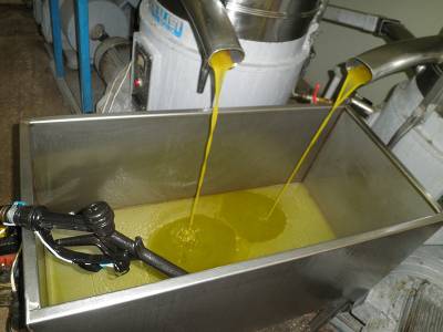 Σύμφωνα με τον αντιπρόεδρο του ΟΠΕΚΕΠΕ: Τέλος του μήνα θα δοθεί η προκαταβολή της επιδότησης