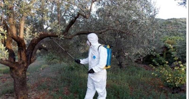 Μεσσηνία: Το πρόγραμμα δακοκτονίας για την Παρασκευή 30/8