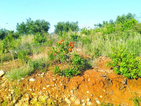 Η Επιτροπή Αγώνα Μάνης στα γραφεία του ΠΑΣΟΚ