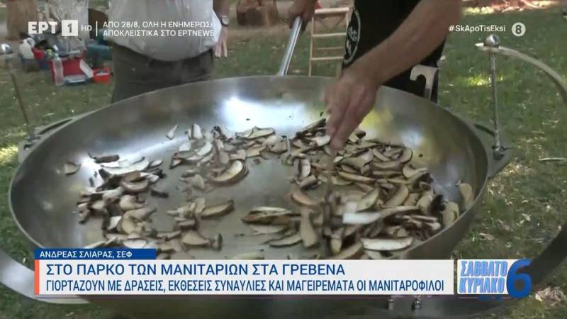 Στο πάρκο των μανιταριών στα Γρεβενά - Γιορτάζουν με δράσεις, συναυλίες και μαγειρέματα οι μανιταρόφιλοι