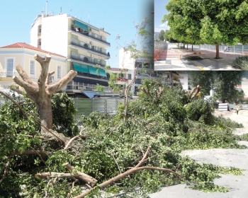 Οι αντιδράσεις έσωσαν τους φίκους της πλατείας