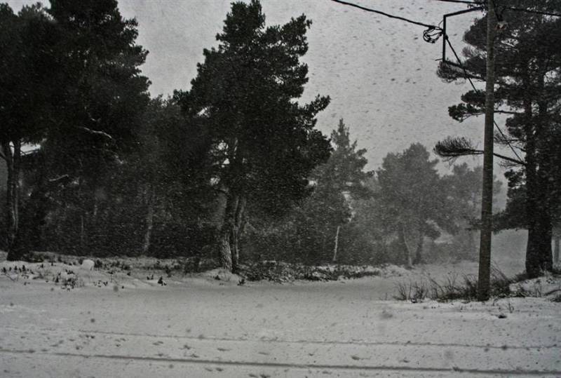 Κακοκαιρία Ελπίς: Καταγγελία Πατούλη για την ανάδοχο εταιρεία της Νέας Οδού για το κλείσιμο (βίντεο)